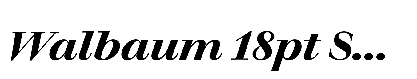 Walbaum 18pt SemiBold Italic